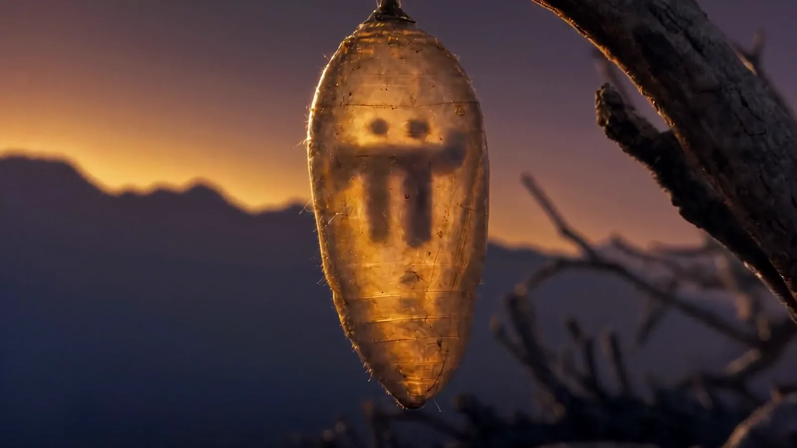 Chrysalis with the Pi mark. Pi Network: Emergence.